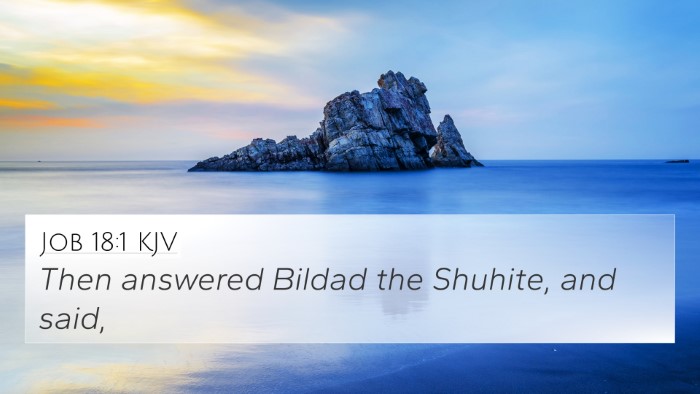 Job 18:1 KJV 4K Wallpaper - Then answered Bildad the Shuhite, and - 4K Wallpaper Bible Verse