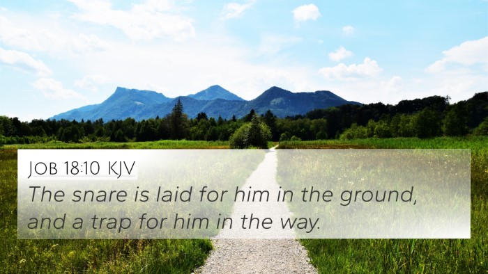 Job 18:10 KJV 4K Wallpaper - The snare is laid for him in the ground, and a - 4K Wallpaper Bible Verse