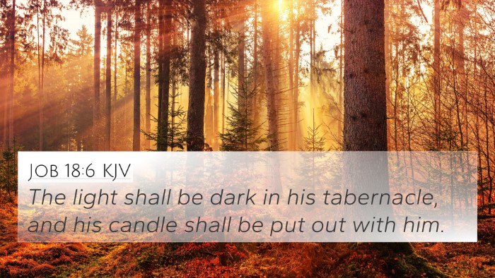 Job 18:6 KJV Bible Verse Image