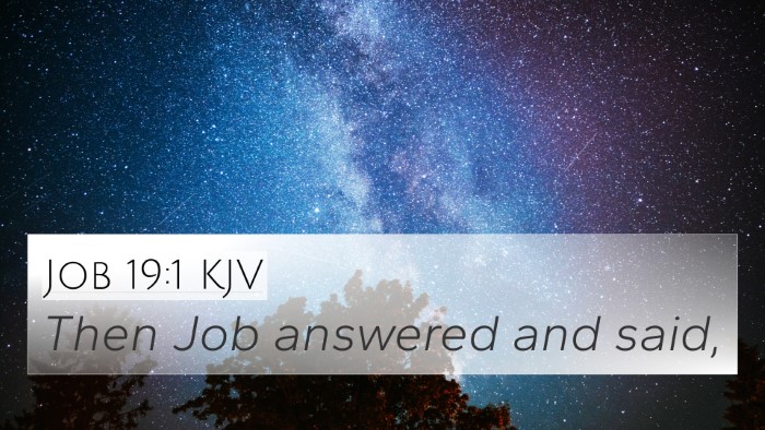Job 19:1 KJV 4K Wallpaper - Then Job answered and - 4K Wallpaper Bible Verse