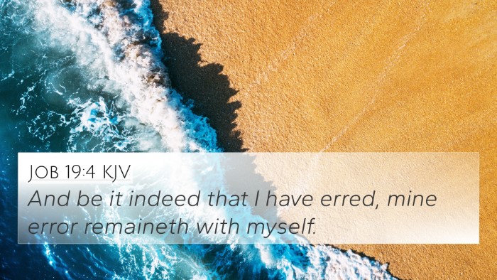 Job 19:4 KJV 4K Wallpaper - And be it indeed that I have erred, mine error - 4K Wallpaper Bible Verse