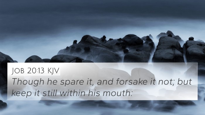 Job 20:13 KJV 4K Wallpaper - Though he spare it, and forsake it not; but keep - 4K Wallpaper Bible Verse