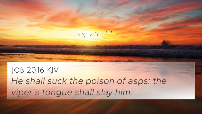 Job 20:16 KJV Bible Verse Image