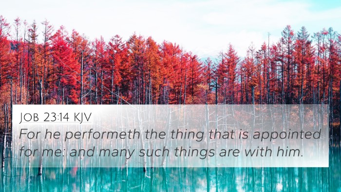 Job 23:14 KJV 4K Wallpaper - For he performeth the thing that is appointed for - 4K Wallpaper Bible Verse