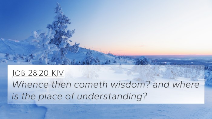 Job 28:20 KJV 4K Wallpaper - Whence then cometh wisdom? and where is the place - 4K Wallpaper Bible Verse