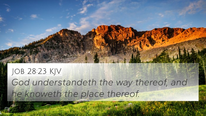 Job 28:23 KJV Bible Verse Image