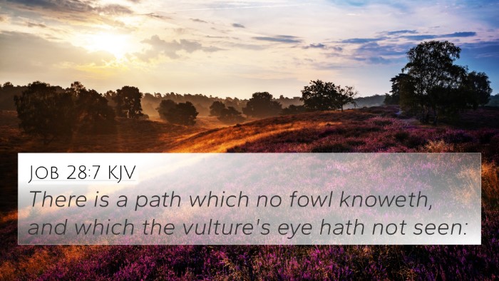 Job 28:7 KJV 4K Wallpaper - There is a path which no fowl knoweth, and which - 4K Wallpaper Bible Verse