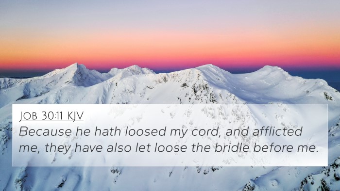 Job 30:11 KJV 4K Wallpaper - Because he hath loosed my cord, and afflicted me, - 4K Wallpaper Bible Verse