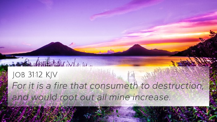 Job 31:12 KJV 4K Wallpaper - For it is a fire that consumeth to destruction, - 4K Wallpaper Bible Verse