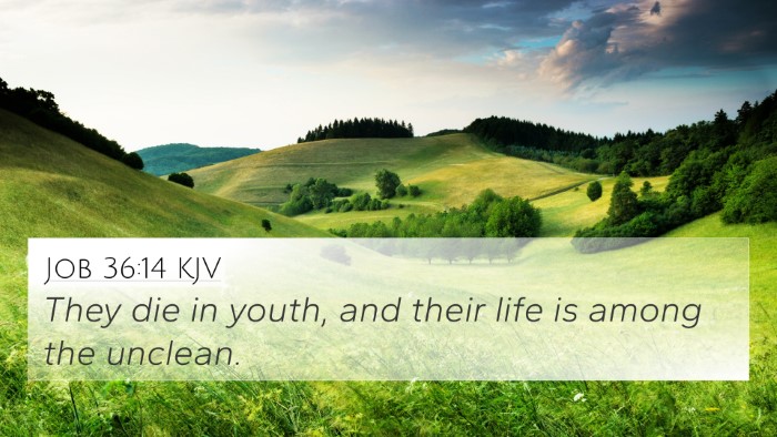 Job 36:14 KJV 4K Wallpaper - They die in youth, and their life is among the - 4K Wallpaper Bible Verse