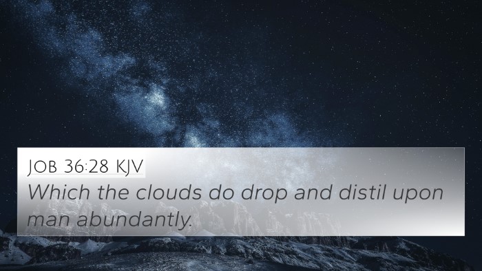 Job 36:28 KJV 4K Wallpaper - Which the clouds do drop and distil upon man - 4K Wallpaper Bible Verse