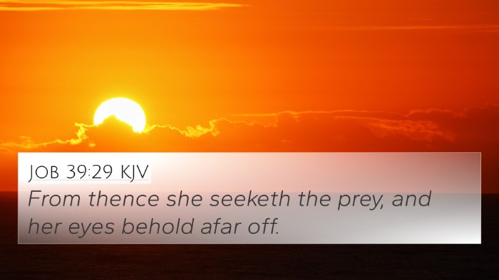 Job 39:29 KJV 4K Wallpaper - From thence she seeketh the prey, and her eyes - 4K Wallpaper Bible Verse