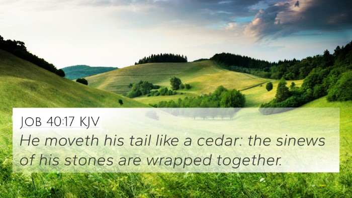 Job 40:17 KJV Bible Verse Image