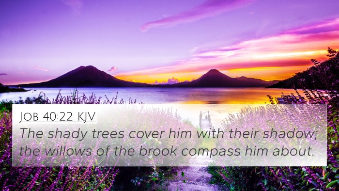 Job 40:22 KJV Bible Verse Image