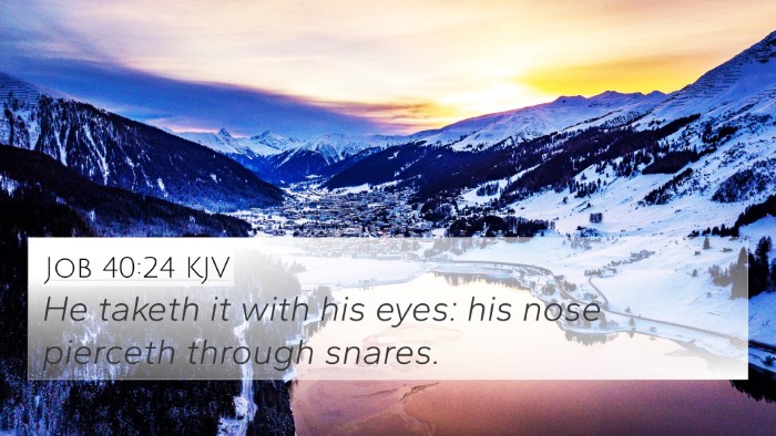 Job 40:24 KJV 4K Wallpaper - He taketh it with his eyes: his nose pierceth - 4K Wallpaper Bible Verse