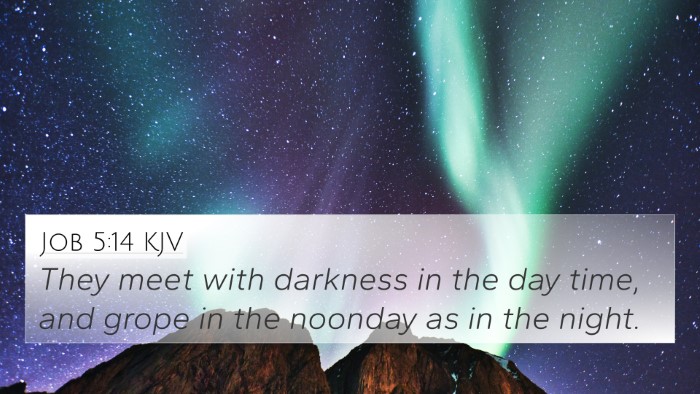 Job 5:14 KJV Bible Verse Image