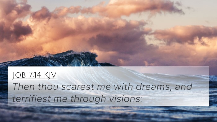Job 7:14 KJV Bible Verse Image
