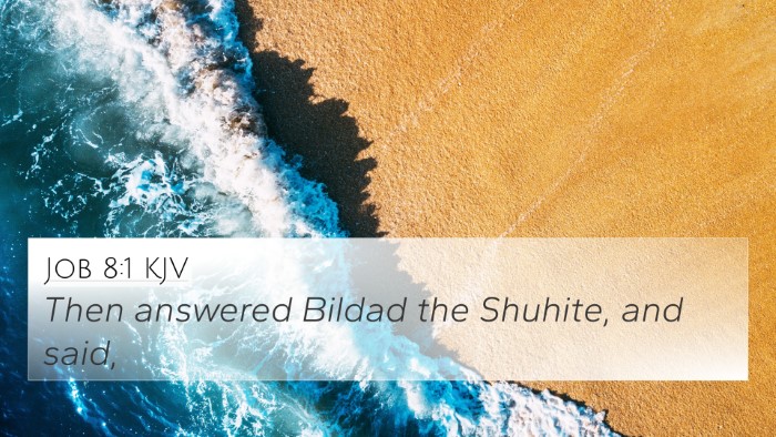Job 8:1 KJV 4K Wallpaper - Then answered Bildad the Shuhite, and - 4K Wallpaper Bible Verse