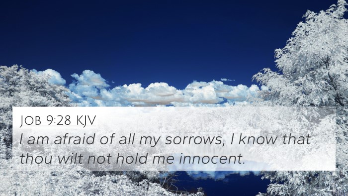 Job 9:28 KJV Bible Verse Image