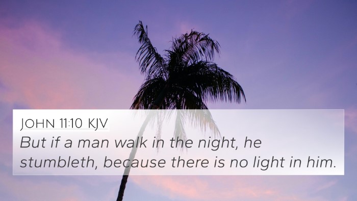 John 11:10 KJV Bible Verse Image