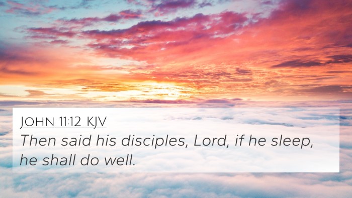John 11:12 KJV 4K Wallpaper - Then said his disciples, Lord, if he sleep, he - 4K Wallpaper Bible Verse