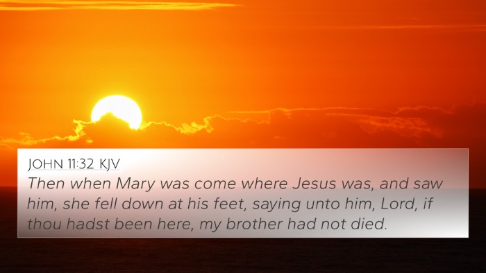 John 11:32 KJV Bible Verse Image