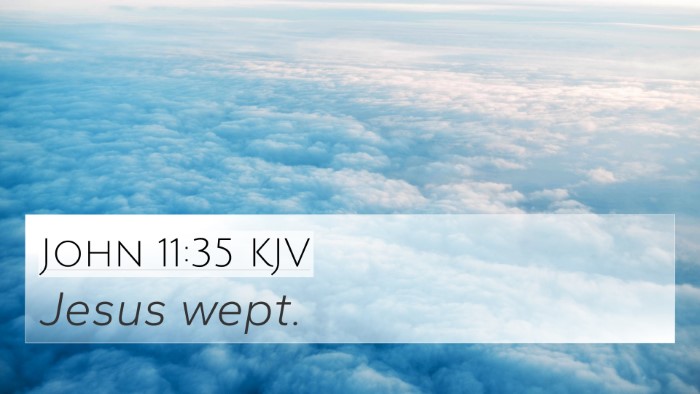 John 11:35 KJV Bible Verse Image
