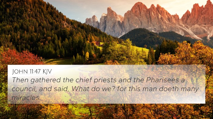 John 11:47 KJV Bible Verse Image