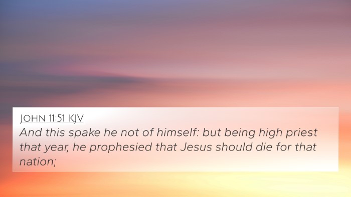 John 11:51 KJV Bible Verse Image