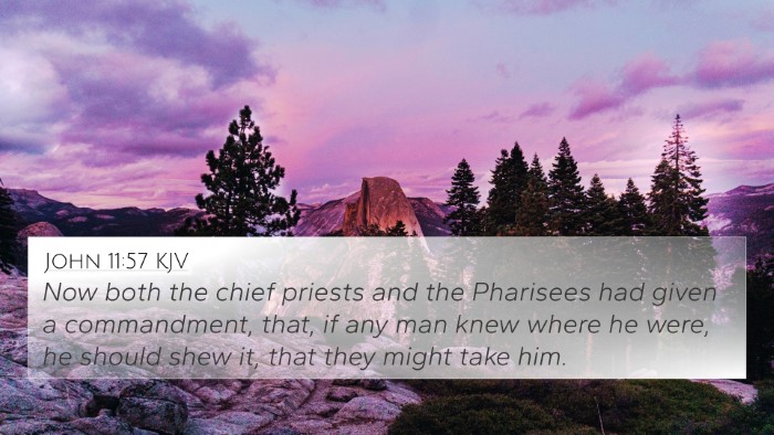 John 11:57 KJV Bible Verse Image