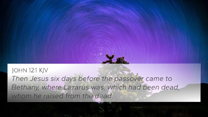 John 12:1 KJV Bible Verse Image