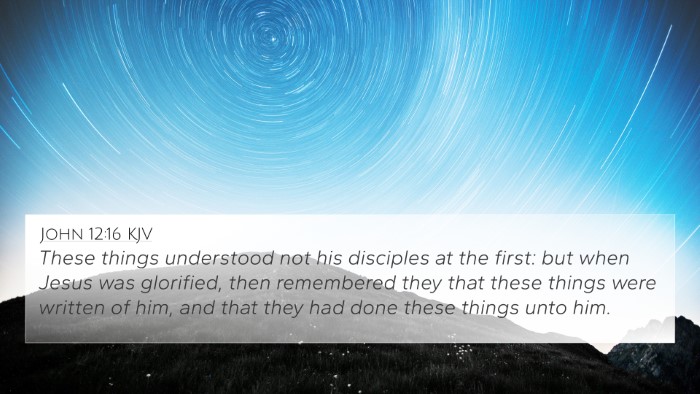 John 12:16 KJV Bible Verse Image