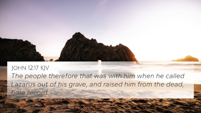 John 12:17 KJV Bible Verse Image