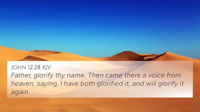 John 12:28 KJV Bible Verse Image
