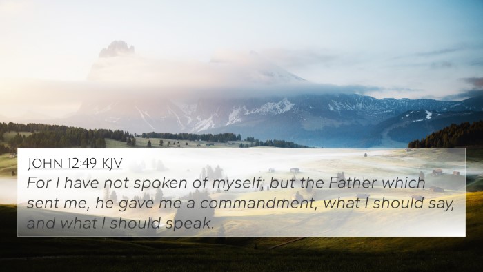 John 12:49 KJV Bible Verse Image