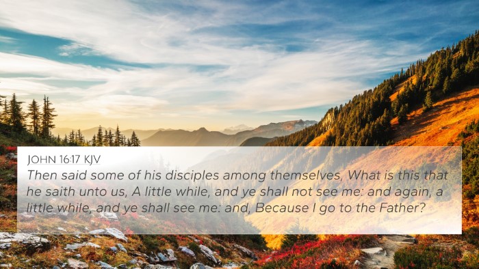John 16:17 KJV Bible Verse Image
