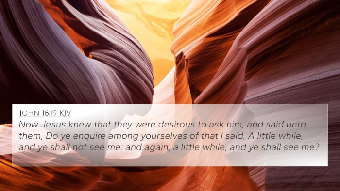 John 16:19 KJV Bible Verse Image
