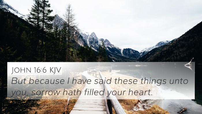 John 16:6 KJV Bible Verse Image