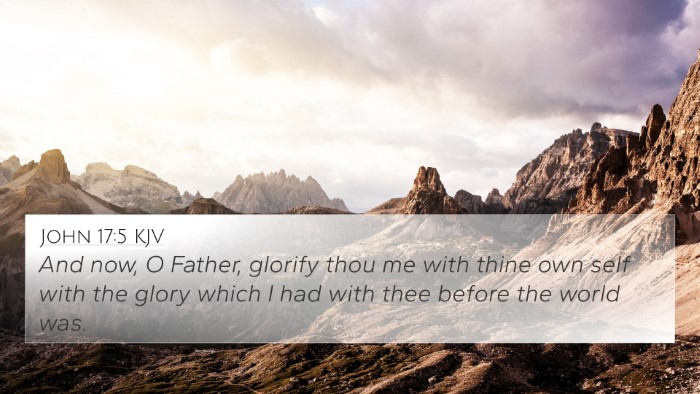 John 17:5 KJV Bible Verse Image