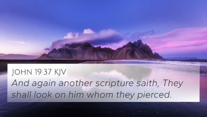 John 19:37 KJV 4K Wallpaper - And again another scripture saith, They shall - 4K Wallpaper Bible Verse