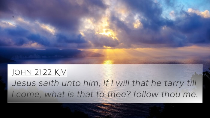 John 21:22 KJV Bible Verse Image