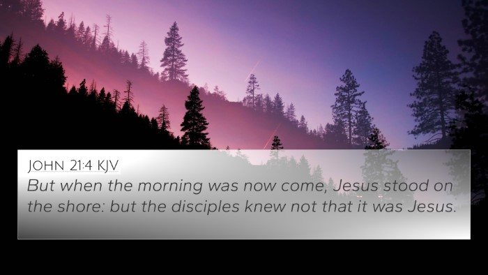John 21:4 KJV Bible Verse Image