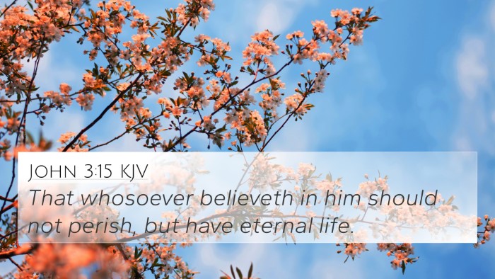 John 3:15 KJV Bible Verse Image
