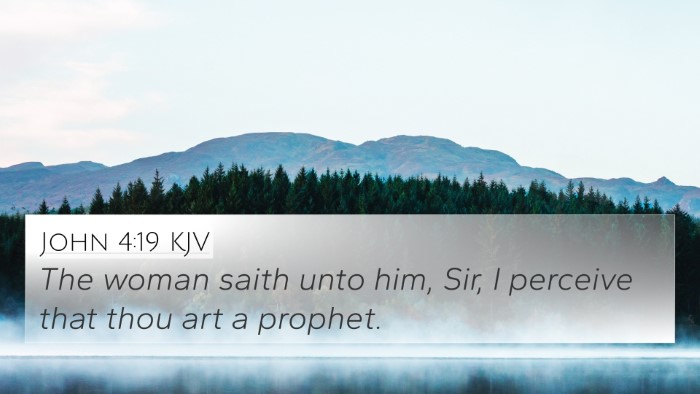 John 4:19 KJV Bible Verse Image