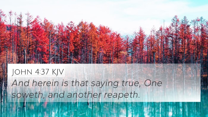 John 4:37 KJV 4K Wallpaper - And herein is that saying true, One soweth, and - 4K Wallpaper Bible Verse