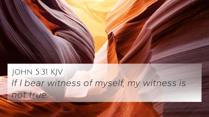 John 5:31 KJV Bible Verse Image
