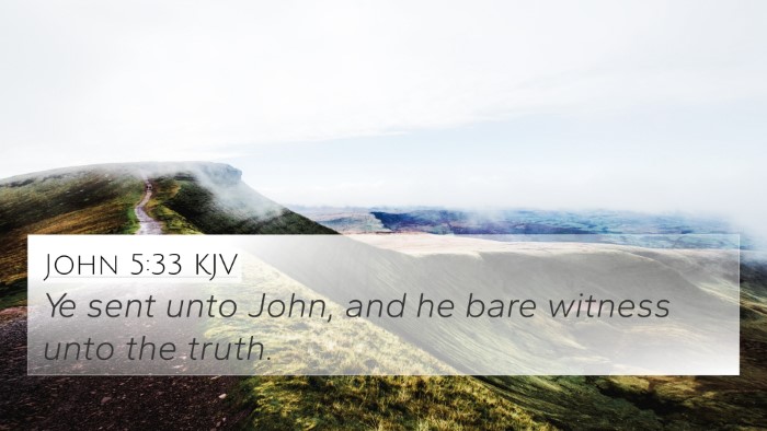 John 5:33 KJV Bible Verse Image