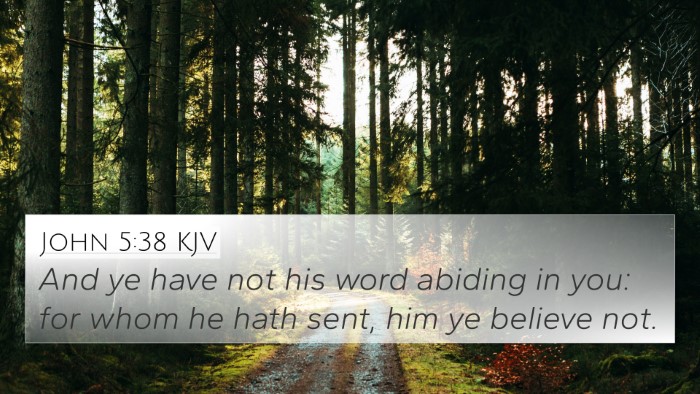 John 5:38 KJV Bible Verse Image