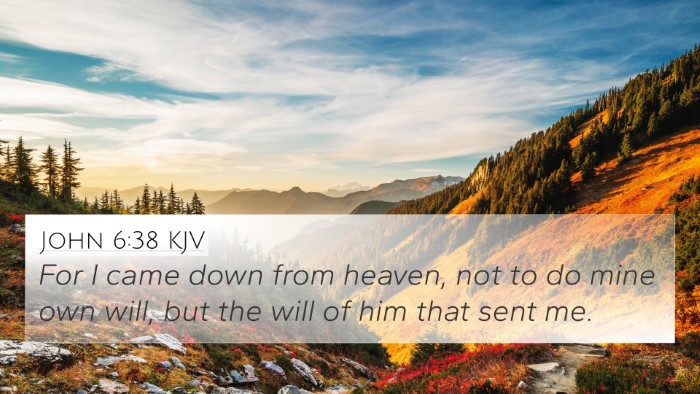 John 6:38 KJV Bible Verse Image