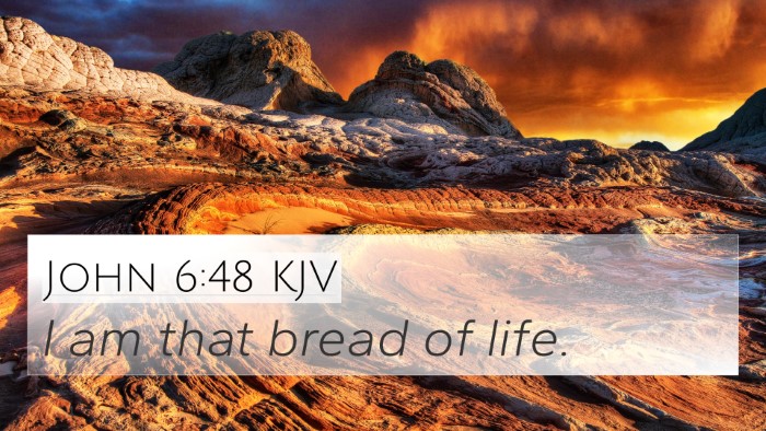 John 6:48 KJV Bible Verse Image